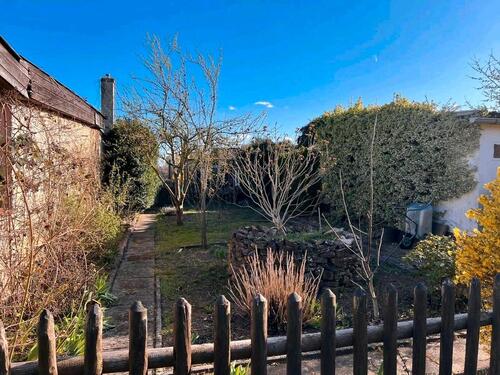 Foto - Grundst&uuml;ck zur Miete in Cottbus