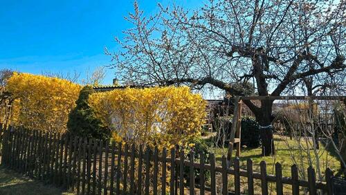 Foto - Grundst&uuml;ck in Cottbus zur Miete
