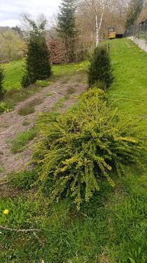 Foto - Gartengrundstück zu verpachten - 45,00&nbsp;EUR Kaltmiete, ca.&nbsp; 0,00&nbsp;m&sup2;