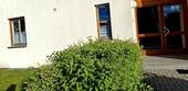 Foto - 2 Zimmer Erdgeschoßwohnung zum Kaufen in Berngau