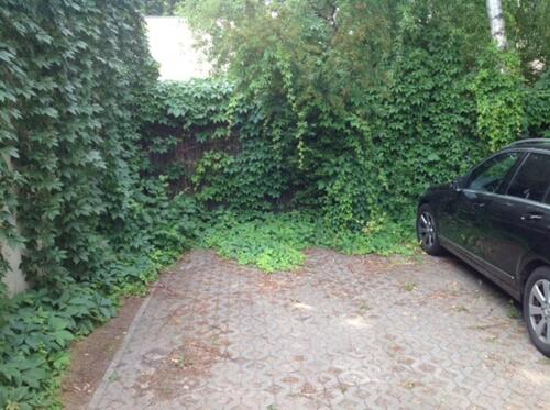 Foto - PKW Stellplatz auf geschlossenem Grundstück