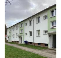 Da kommt man gern Heim. 1-Zimmer-Single-Appartment - Lübeck Sankt Lorenz Nord