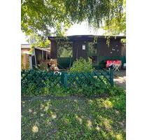 Pachtgarten - 550,00 EUR Kaltmiete, ca.  0,00 m² in Kiel (PLZ: 24149) Neumühlen-Dietrichsdorf