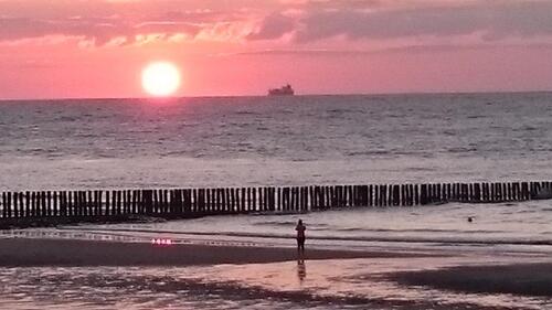 Foto - Zeeland knuffiges Ferienhäuschen für 2 P+2H Karneval