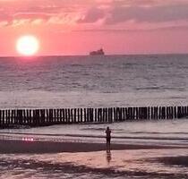 Zeeland knuffiges Ferienhäuschen für 2 P+2H Karneval - Wesseling