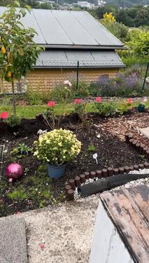 Foto - Grundst&uuml;ck in Wuppertal