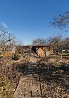 Foto - Pachtgarten im Norden von Cottbus