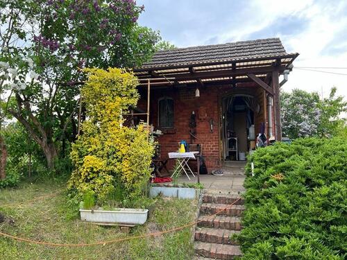 Foto - Kleingarten Pachtgarten in Kolkwitz