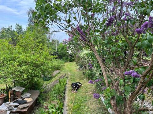 Foto - Grundst&uuml;ck in Cottbus