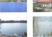 Foto - 