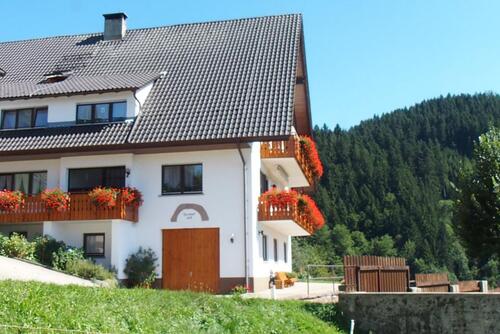 Foto - Ferienhaus im Schwarzwald, Ferienwohnungen, Alleinlage, Natur pur