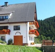 Ferienhaus im Schwarzwald, Ferienwohnungen, Alleinlage, Natur pur - Oppenau