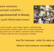 Büro in kreativer Bürogemeinschaft zu vermieten - Niesky