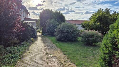 Foto - 6 Zimmer Einfamilienhaus zum Kaufen in Falkenstein/Harz