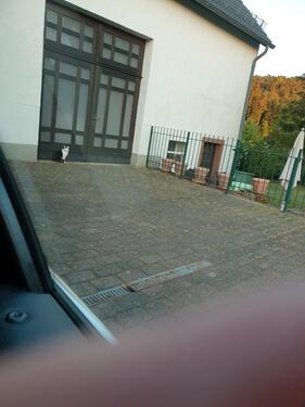 Foto - 5 Zimmer Einfamilienhaus zum Kaufen in Pelm