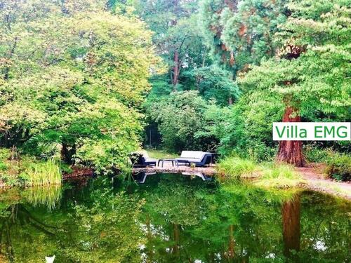 Foto - andere in Celle
