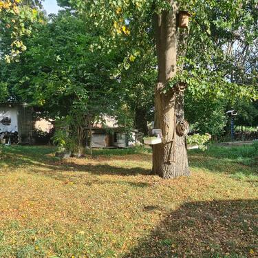 Foto - Einfamilienhaus zum Kaufen in Chemnitz