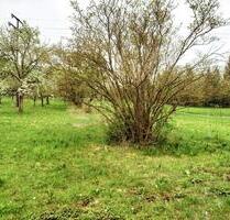 Grundstück Weil Pfullingen zu verpachten 700 m² - Reutlingen Reutlingen-Betzingen