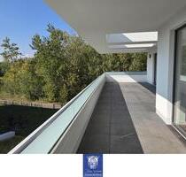 Dachtraum mit großer Terrasse, 2 Bädern, exklusiver Ausstattung, Lift! Erstbezug! - Döbeln