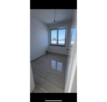 WG-Zimmer ab sofort zu vermieten - Berlin Mitte