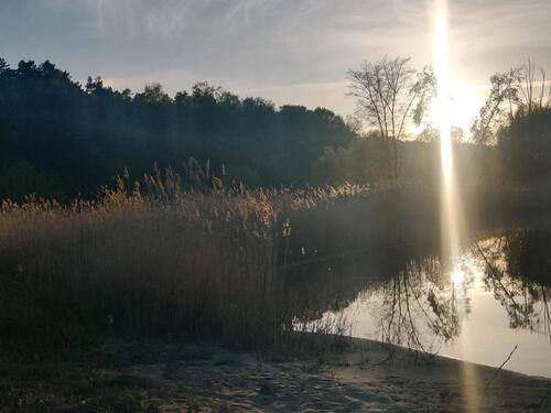 Foto - Sonnige 3-Zimmer-Wohnung in ruhiger Wohnsiedlung in Walmsburg
