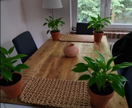 Foto - Einfamilienhaus in Großheide