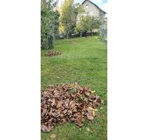 Haus Miesenheim - 370.000,00 EUR Kaufpreis, in Andernach (PLZ: 56626)