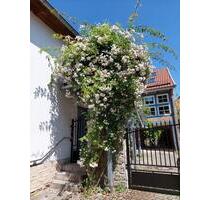 2-Raum-EG-Wohnung in Göttingen OT Roringen