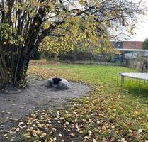 3 ZKB Wohnung in der Natur ab 01.12.2025 frei - Moormerland