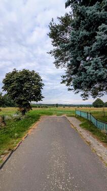 Foto - Einfamilienhaus in Niesky zum Kaufen