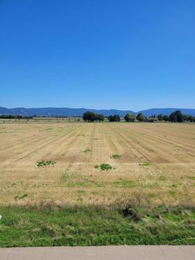 Foto - 3 ZKBB-Wohnung in Feldrandlage in Friedrichsfeld