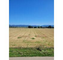 3 ZKBB-Wohnung in Feldrandlage in Friedrichsfeld - Edingen-Neckarhausen Neu-Edingen