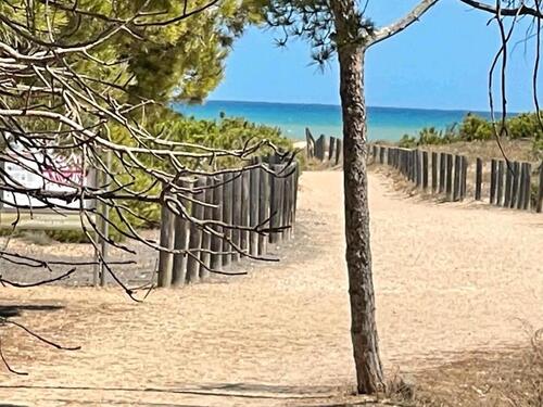 Foto - Ferienhaus Costa Blanca Torrevieja La Mata