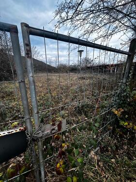 Foto - andere in Neunkirchen