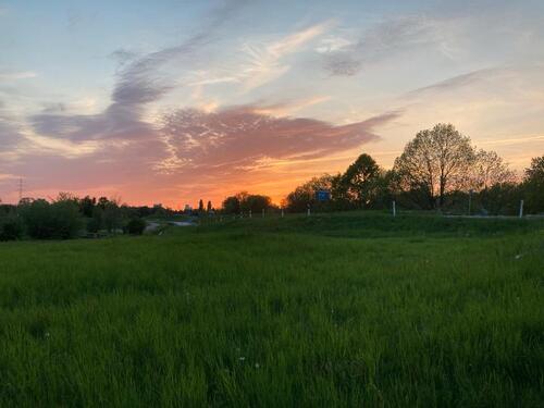 Foto - WG Zimmer Loft Terrasse - 800,00 EUR Kaltmiete,