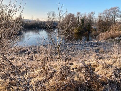 Foto - Etagenwohnung zur Miete in Hamburg