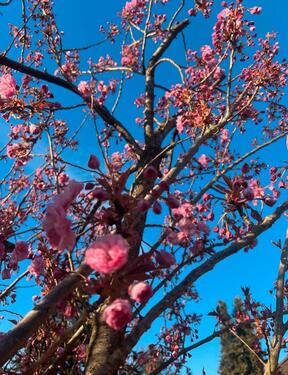 Foto - 2.5 Zimmer Erdgeschoßwohnung in Versmold