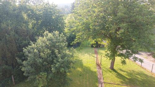 Foto - Bauernhaus, Landhaus in Nonnweiler zum Kaufen