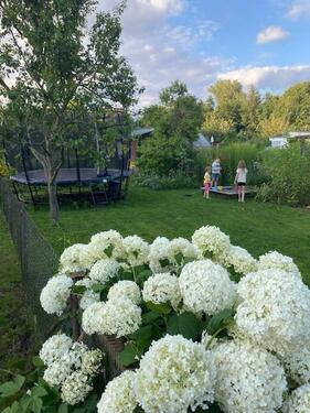 Foto - Pachtgarten zentrumsnah mit viel Ausstattung - ideal für Kinder