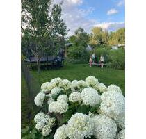 Pachtgarten zentrumsnah mit viel Ausstattung - ideal für Kinder - Cottbus Brunschwig