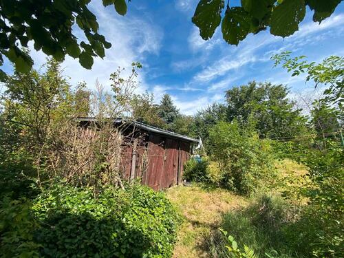 Foto - 4 Zimmer Einfamilienhaus zum Kaufen in Colditz