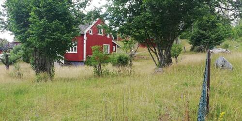 Foto - andere in Oldenburg