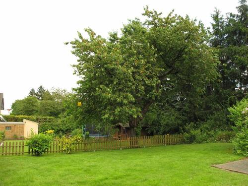 Foto - Etagenwohnung in Dortmund