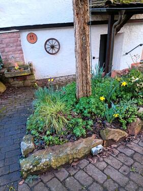 Foto - 4 Zimmer Etagenwohnung zur Miete in Neustadt am Main