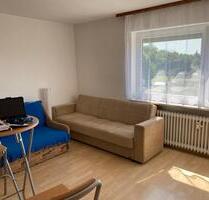 1 Raum Wohnung mit Bad und Küchenzeile - Lauingen (Donau)