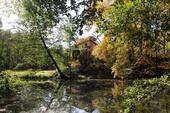 Foto - andere zur Miete in Neuzelle