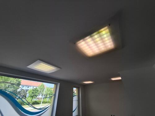 Foto - andere in Cottbus zur Miete