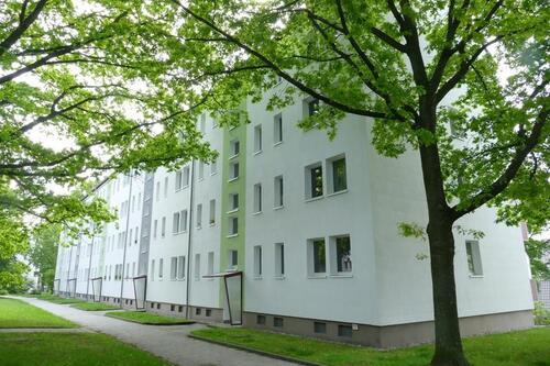 Foto - Altendorf! Stressfrei den Sommer auf dem Balkon genießen