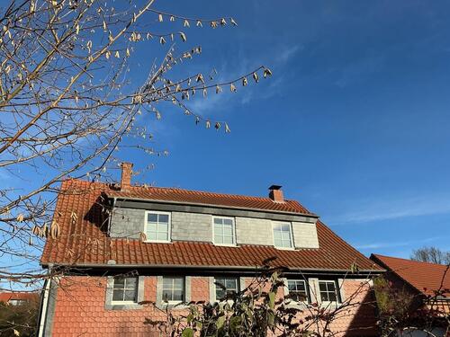 Foto - Bornum-90qm-ruhig- hell- etwas anderst wohnen