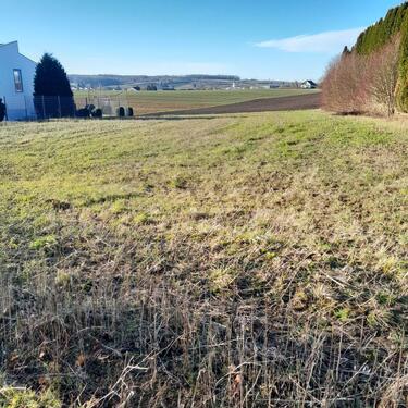 Foto - Grundst&uuml;ck zur Miete in Güglingen
